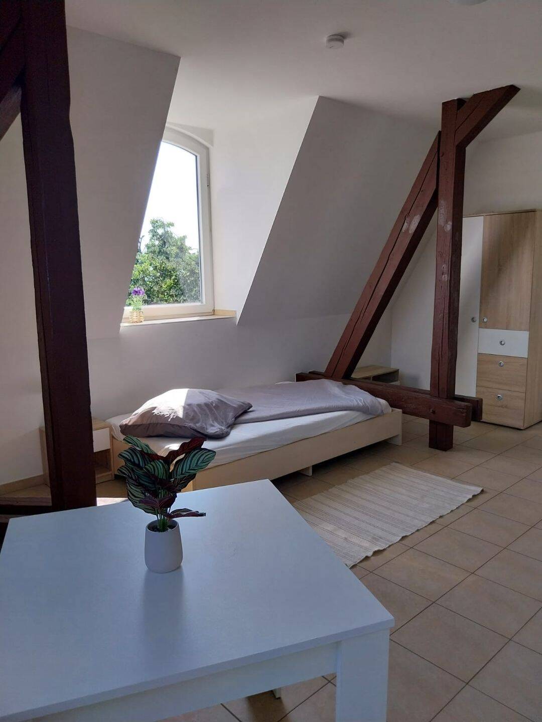 Studentenapartements 16 – 50 m²  zu vermieten, 9599 Freiberg