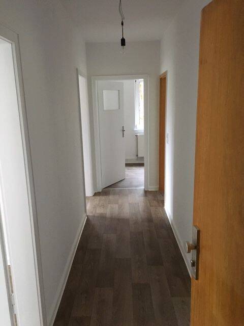 image-72478221