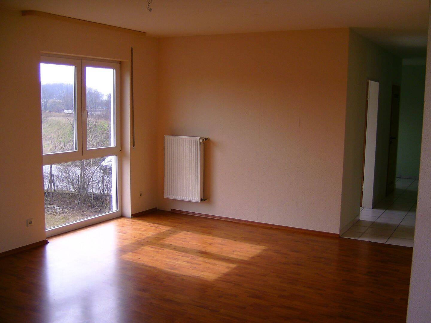 4 ZKB mit Balkon-frisch renoviert, 56575 Weißenthurm