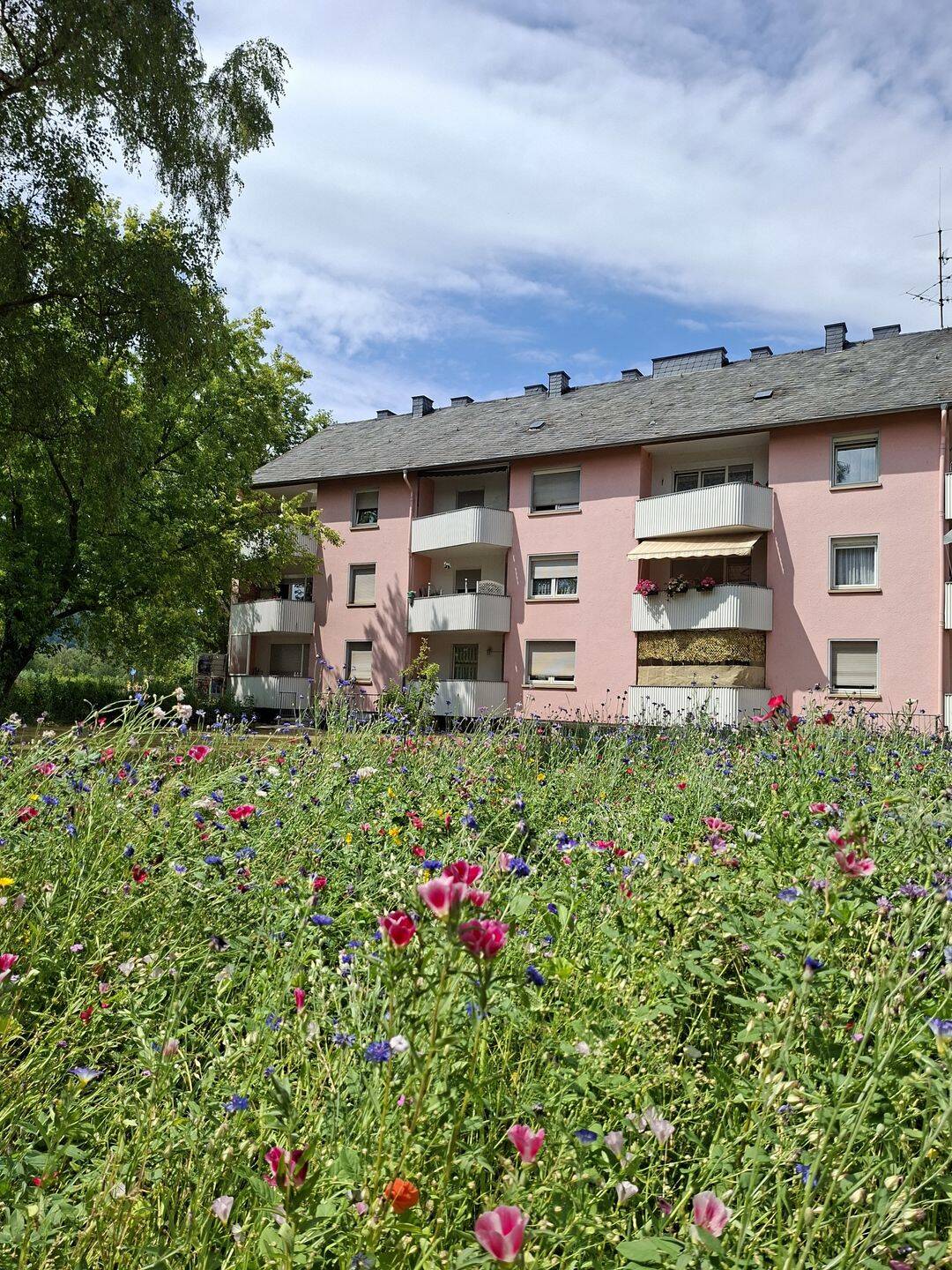 Renovierte 3 ZKB in beliebter Lage – Trier Süd – Auf der Steinrausch, 54290 Trier (Innenstadt Trier-Süd)