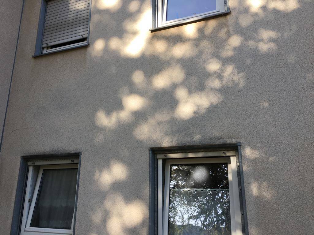 image-72566826