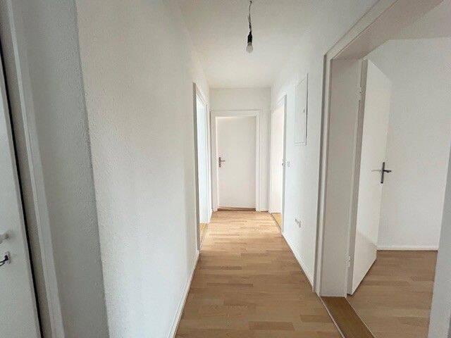 image-72896392