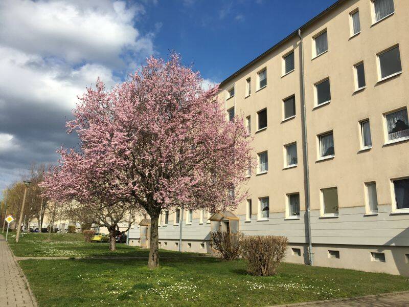 EINFACH EINZIEHEN, 6449 Aschersleben