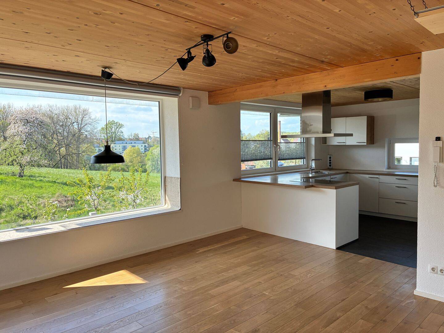 image-72371669