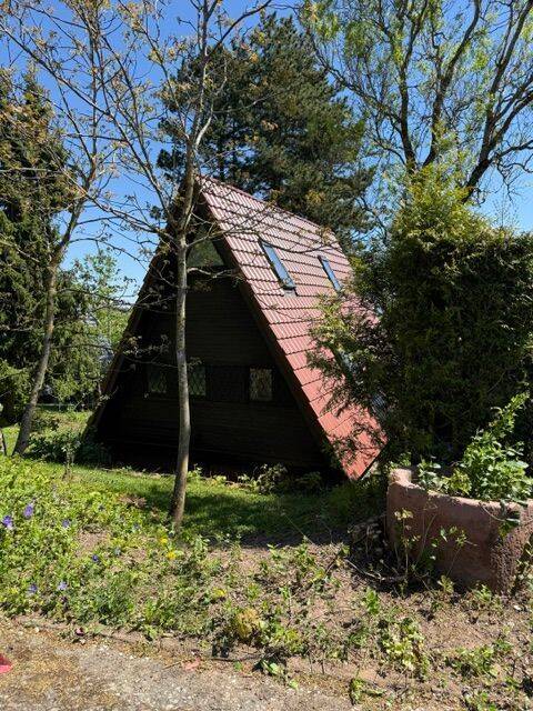 Nurdachhaus mit großem Grundstück in Waldbrunn-Schollbrunn, 69429 Waldbrunn