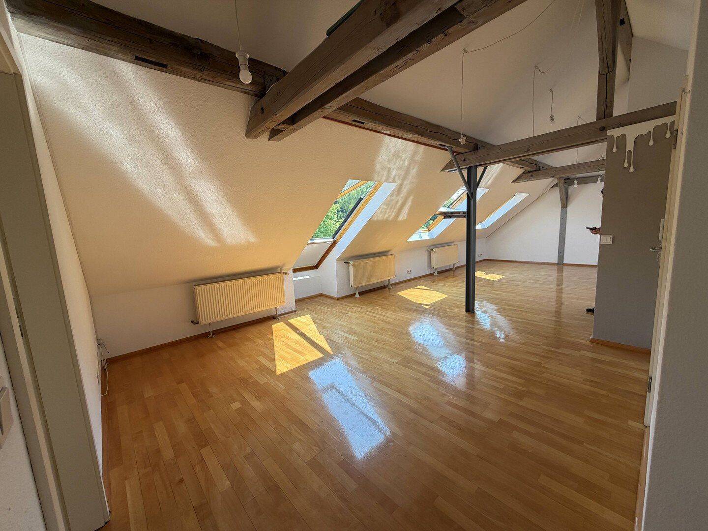 Offenes Wohnen im Kurpark – lichtdurchflutete 2,5-Zimmer- Dachwohnung mit Loftcharakter, 70372 Stuttgart (Bad Cannstatt)