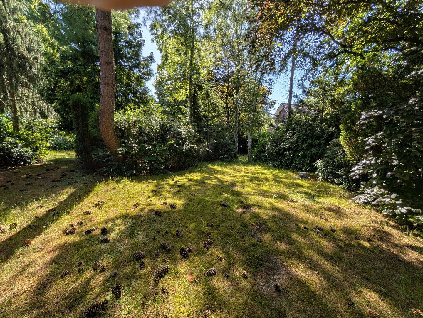 Sonniges Südwest-Grundstück mit Bauvorbescheid für Doppelhaus, 22559 Hamburg (Altona Rissen)