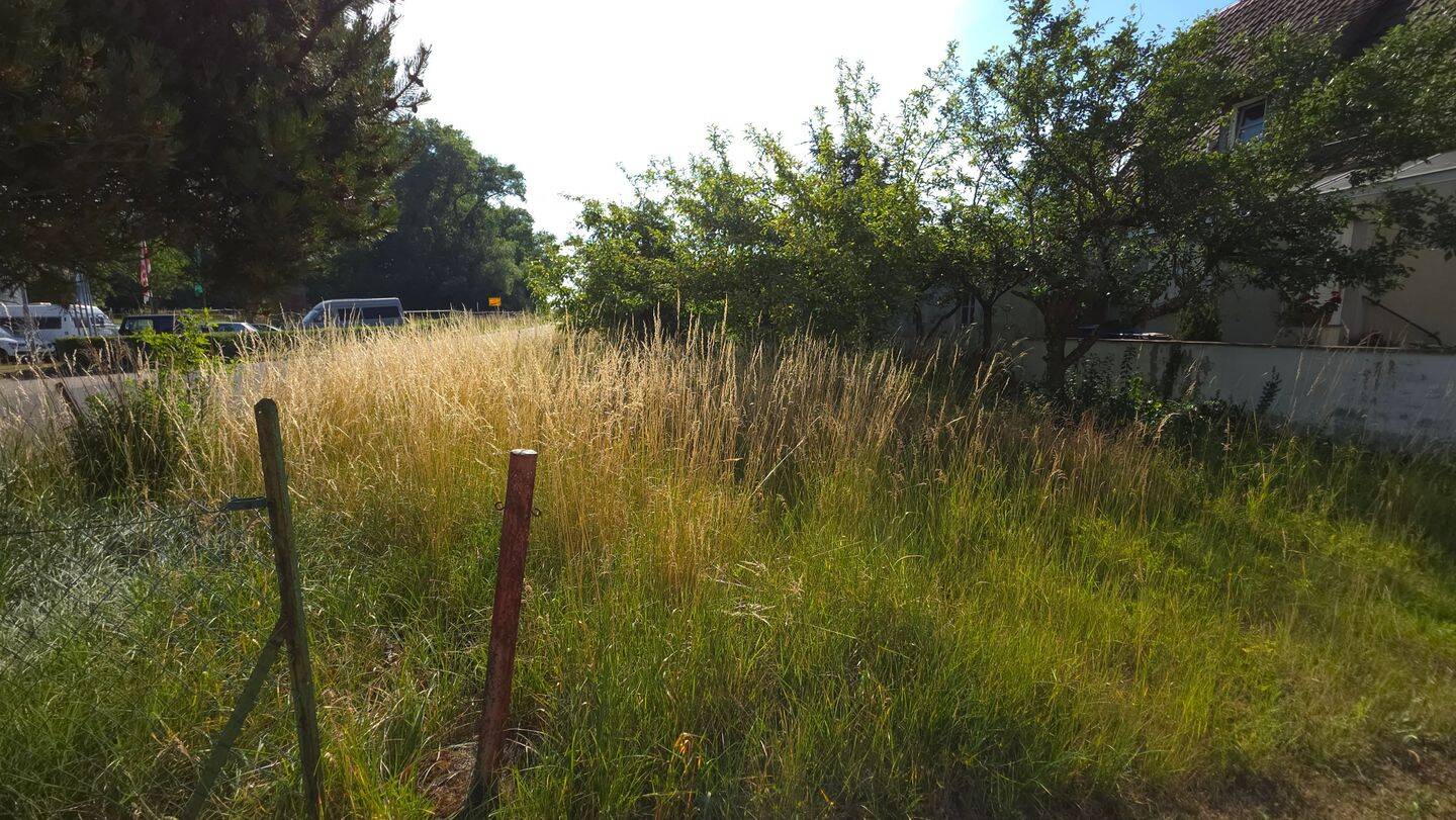 Attraktives Baugrundstück in Neuses am Sand, Prichsenstadt, 97357 Prichsenstadt