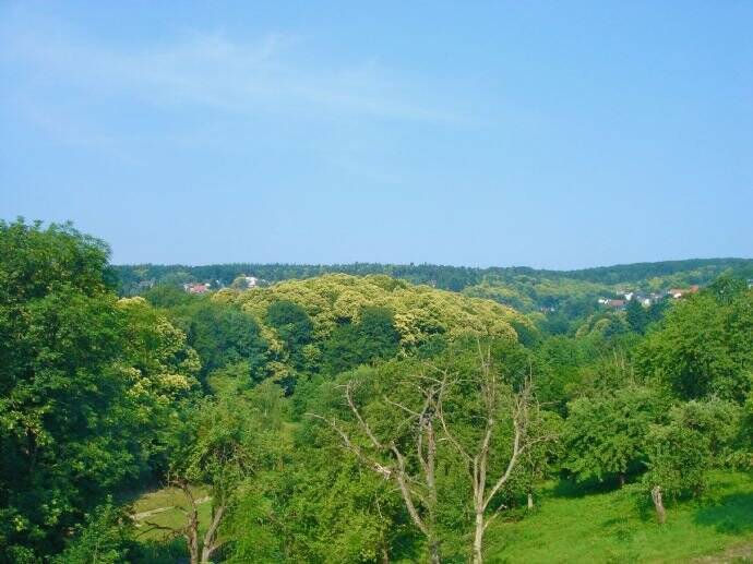 Exklusive 5 -Zimmer-Garten-Maisonettewohnung mit Balkon,Terrasse , Garten und Einbauküche in Königstein am Naturschutzgebiet, 61462 Königstein im Taunus