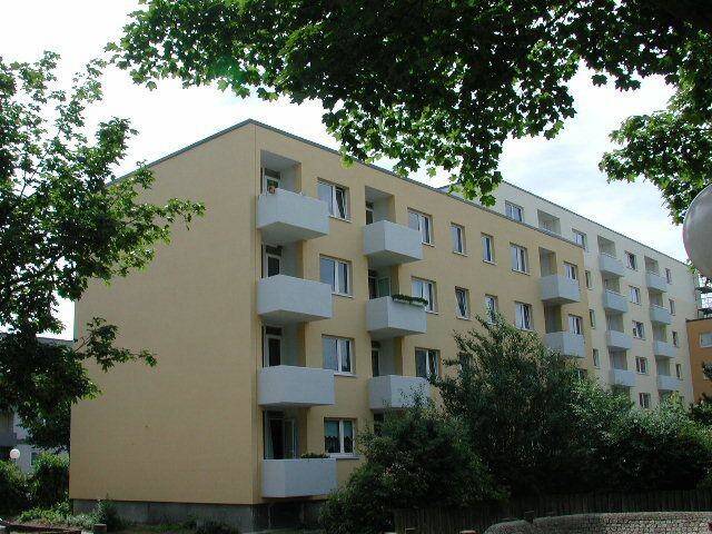 image-72865905