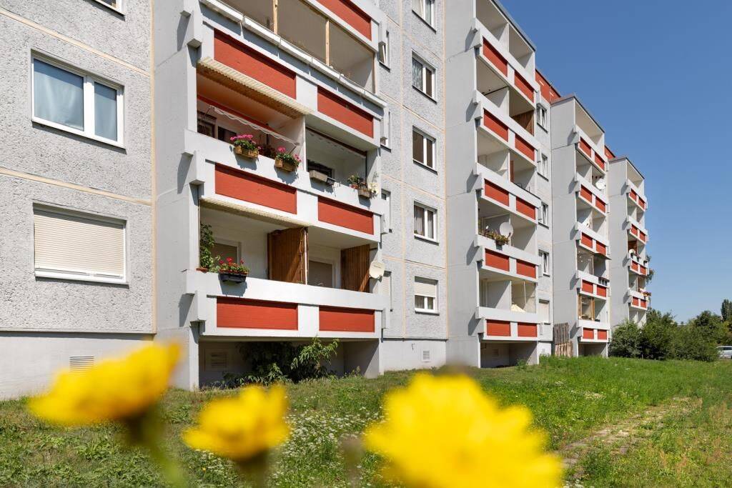 Einziehen statt renovieren mit attraktivem Mietvorteil., 6132 Halle (Saale) (Ammendorf-Beesen Planena Radewell-Osendorf Silberhöhe)