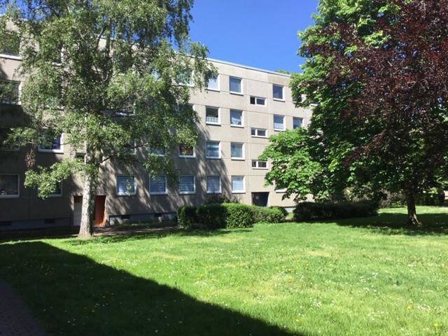 image-72782248