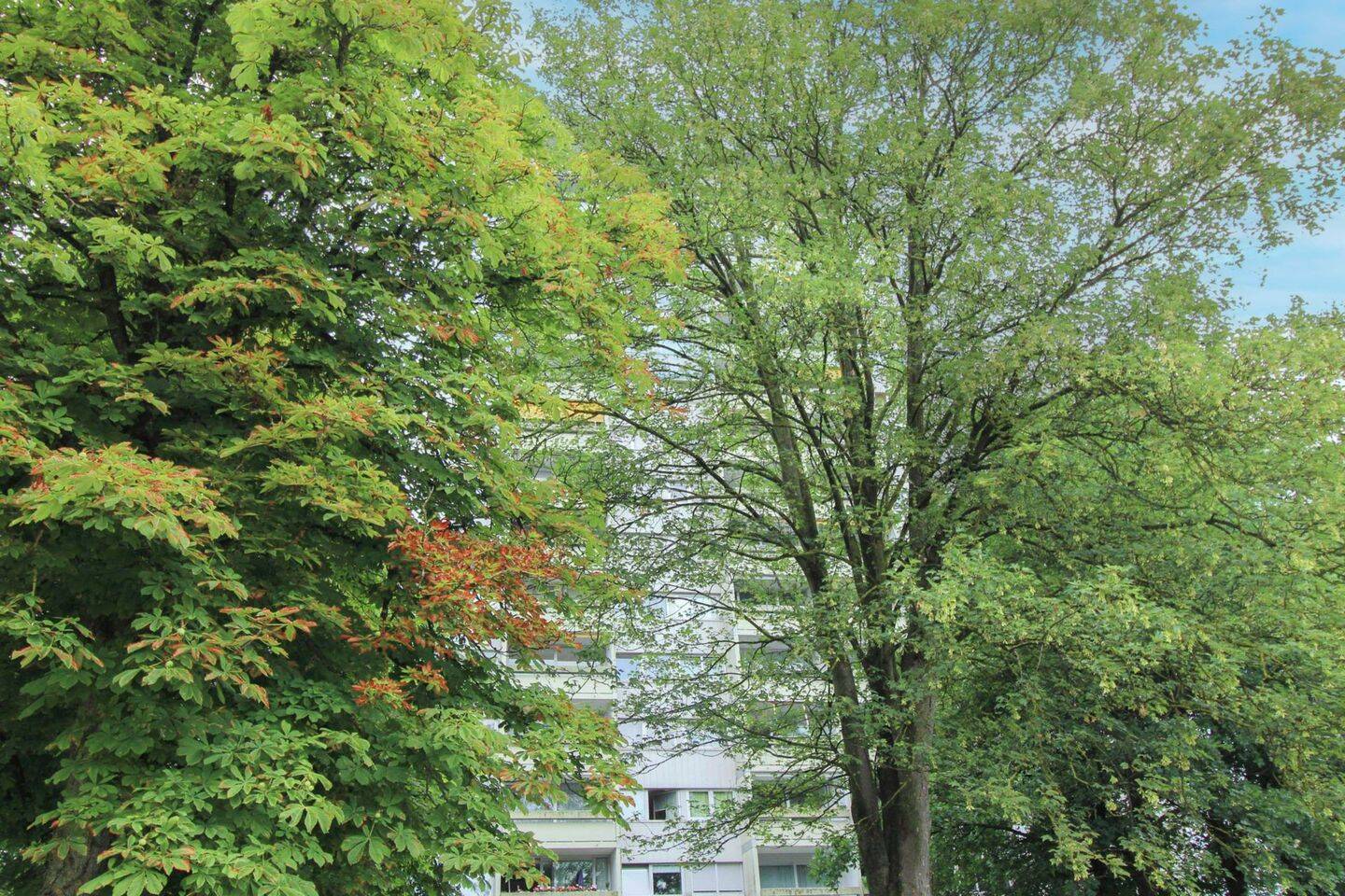 Sehr schön aufgeteilte 3-Zimmer-Wohnung mit traumhaftem Blick und Schwimmbad in Neu-Ulm, 89231 Neu-Ulm