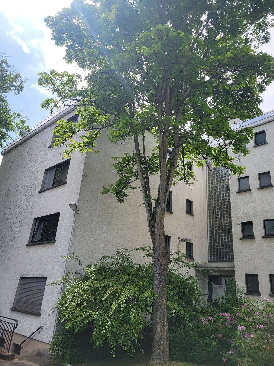 Helle 3-Zimmer-Erdgeschosswohnung mit Balkon, 35396 Gießen