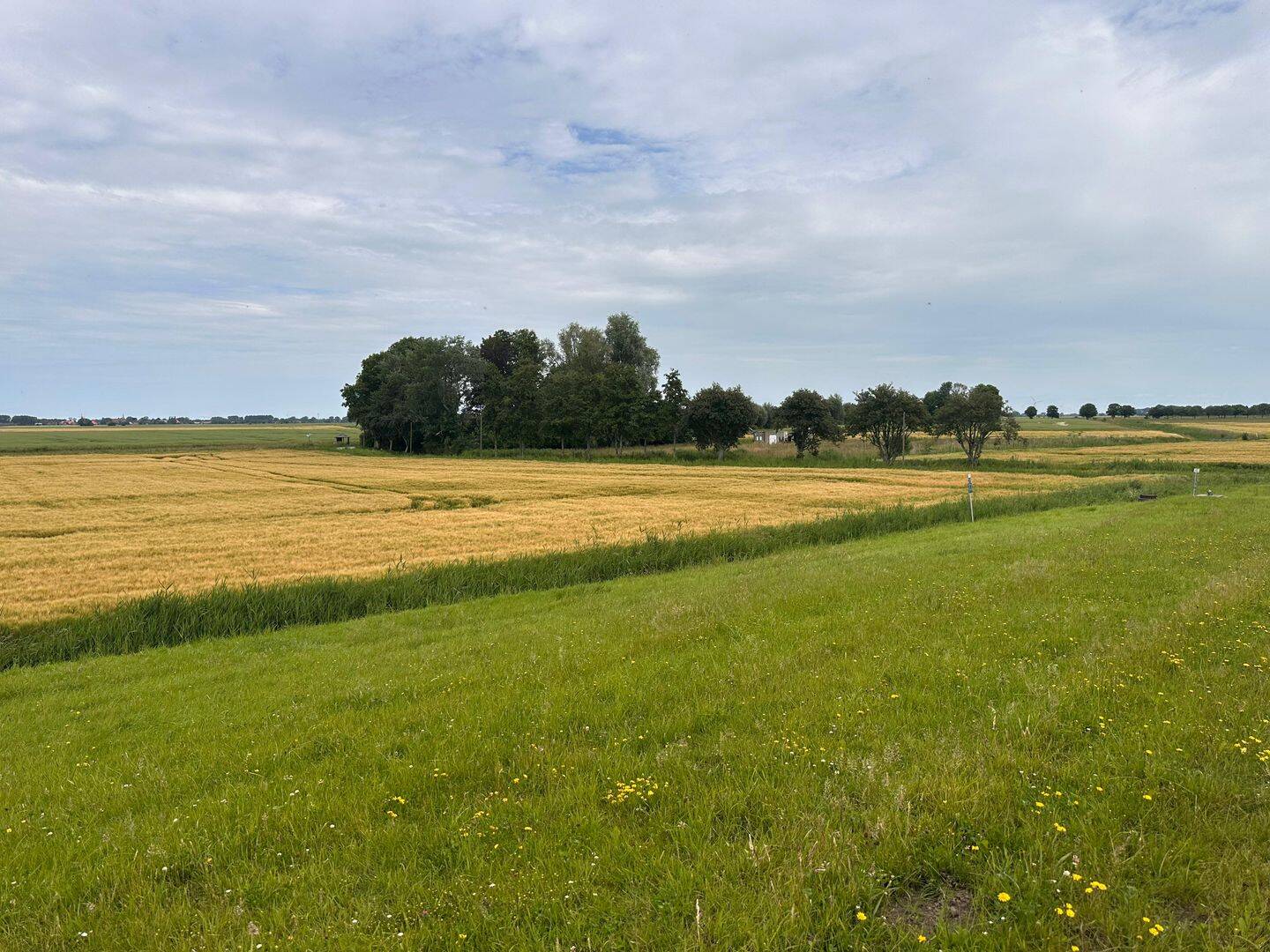 Nordsee-Rarität: Zwei Häuser in einzigartiger Alleinlage – ein verstecktes Juwel inmitten gewachsener Natur zu verkaufen!, 26723 Emden
