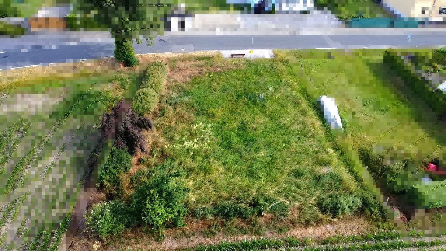 Ihr Platz im Grünen: Grundstück in ruhiger Lage nahe Leipzig, 4509 Krostitz