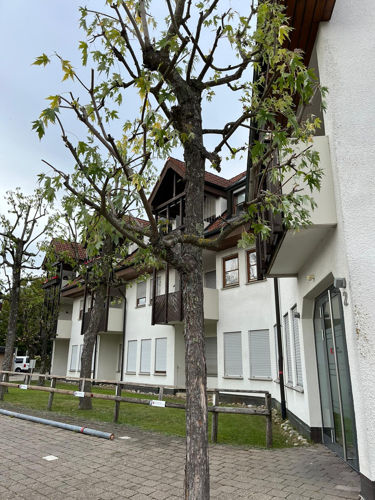 Schöne 3 Zimmer Dachgeschoß Wohnung im Herzen von Grünkraut, 88287 Grünkraut