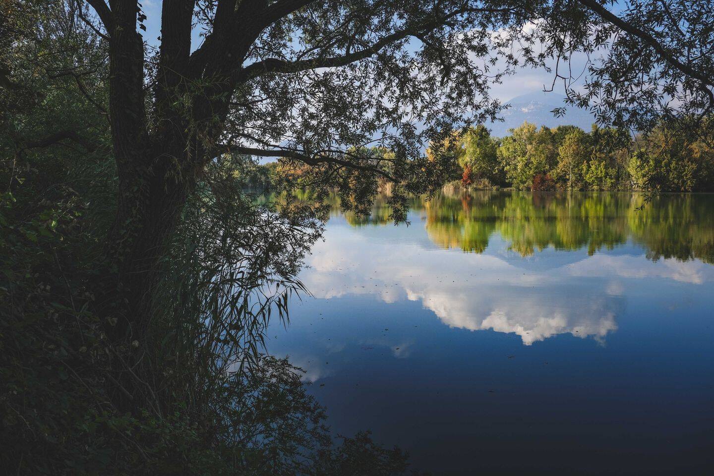 Schlüsselfertiges EFH mit Grundstück, 79859 Schluchsee