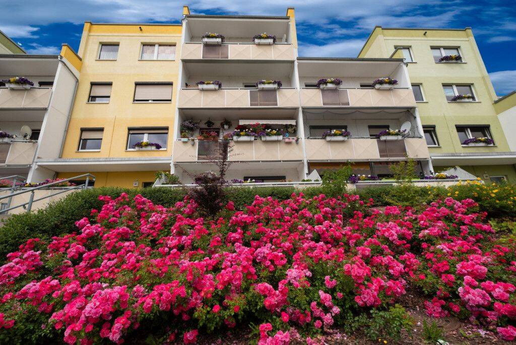 Familienfreundliche 4 Zimmer-Wohnung mit großem Balkon, 6679 Hohenmölsen