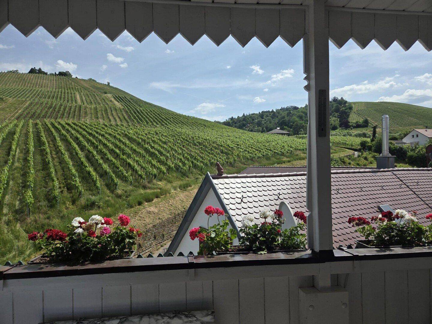 Provisionsfrei! Panoramablick direkt an den Weinbergen Untertürkheims, 70327 Stuttgart