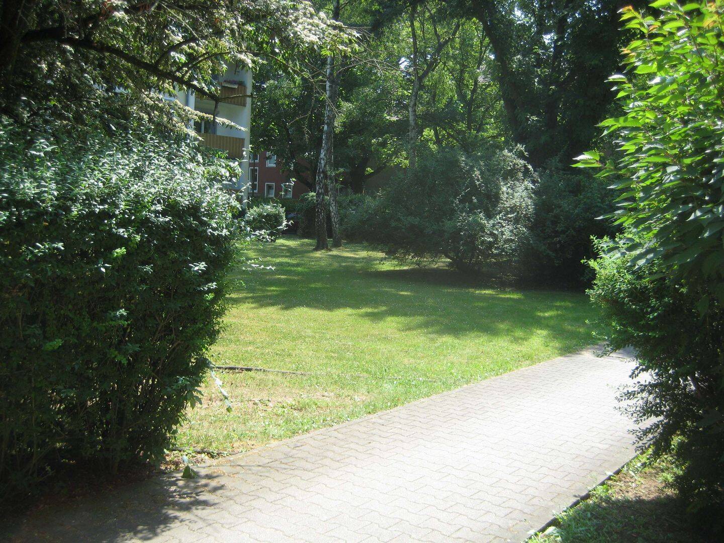 image-72517294