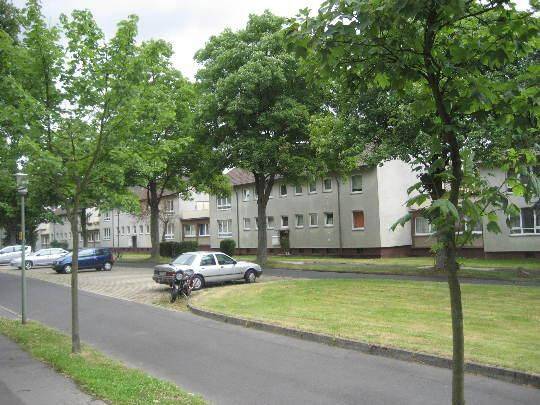In beliebter Lage wohnen! 4-Zimmer-Wohnung, 34131 Kassel (Bad Wilhelmshöhe Brasselsberg Kirchditmold)