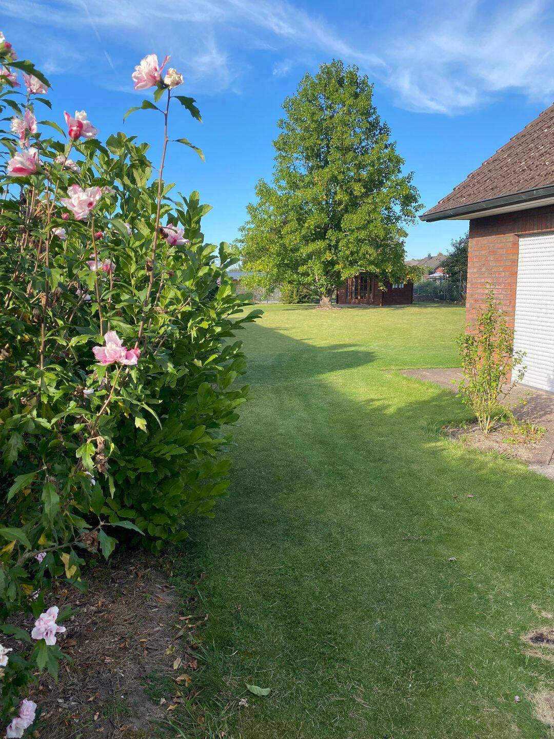 Sommer, Garten, Platz für alle – Einfamilienhaus mit Zukunft in Bleckede, 21354 Bleckede