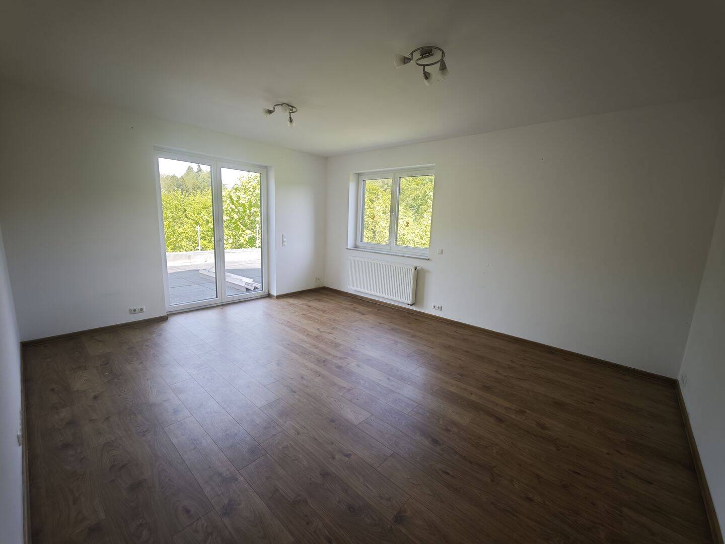 Neubau EFH mit Einliegerwohnung, Doppelgarage und großem Grundstück im Odenwald, 69483 Wald-Michelbach