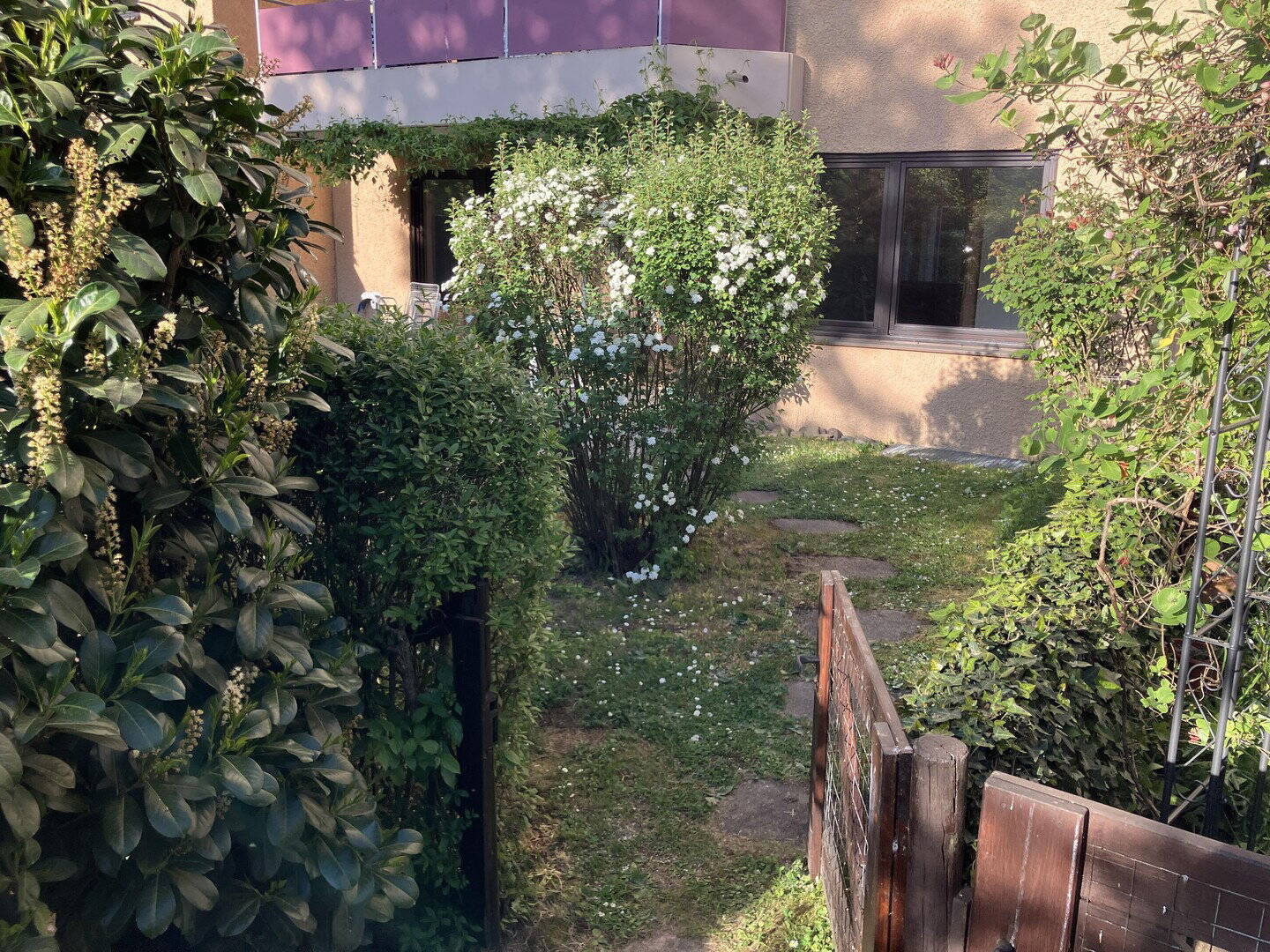 image-72789668