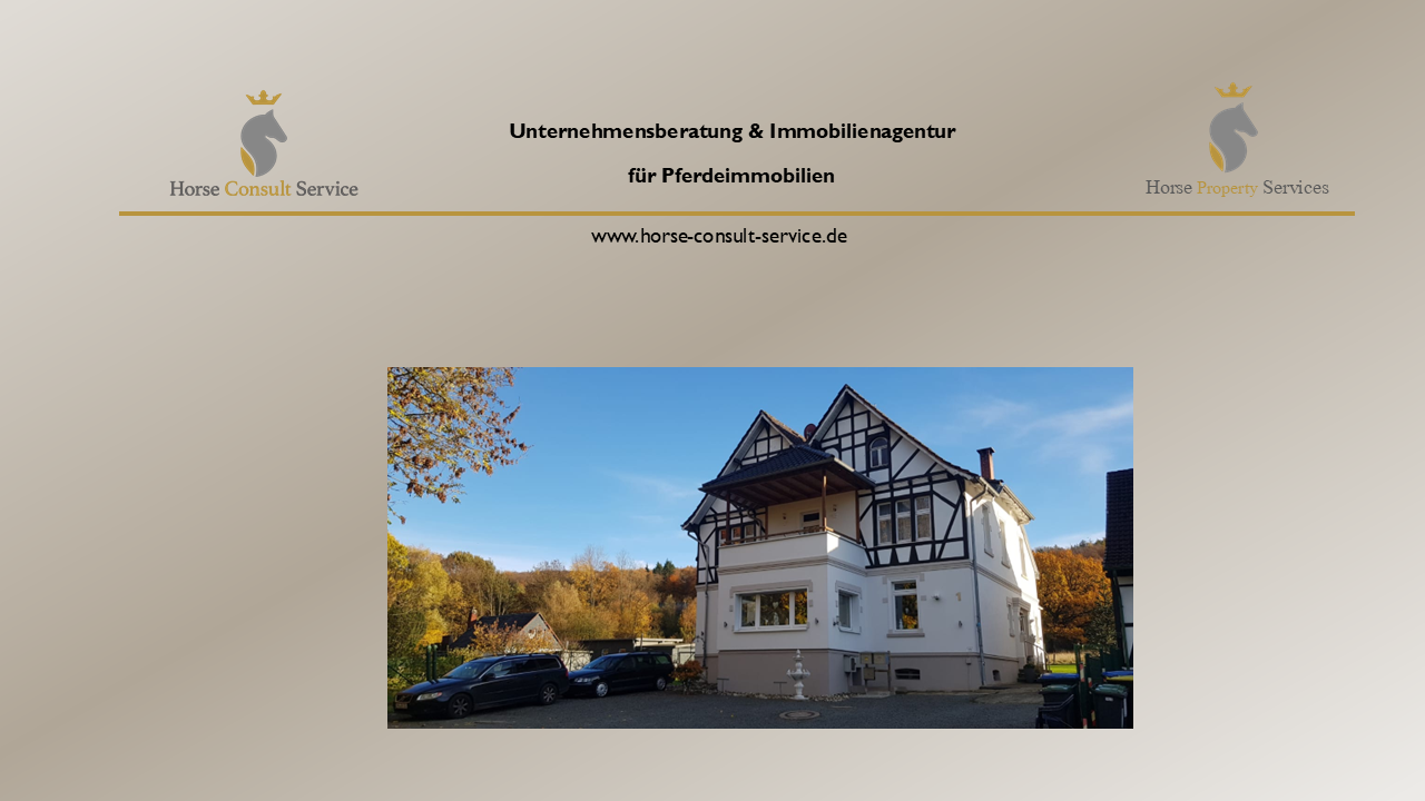 Stilvolles Herrenhaus auf parkähnlichem Grundstück – Wohnen, Vermieten, Entwickeln, 58089 Hagen