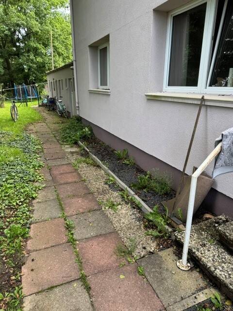image-72784656