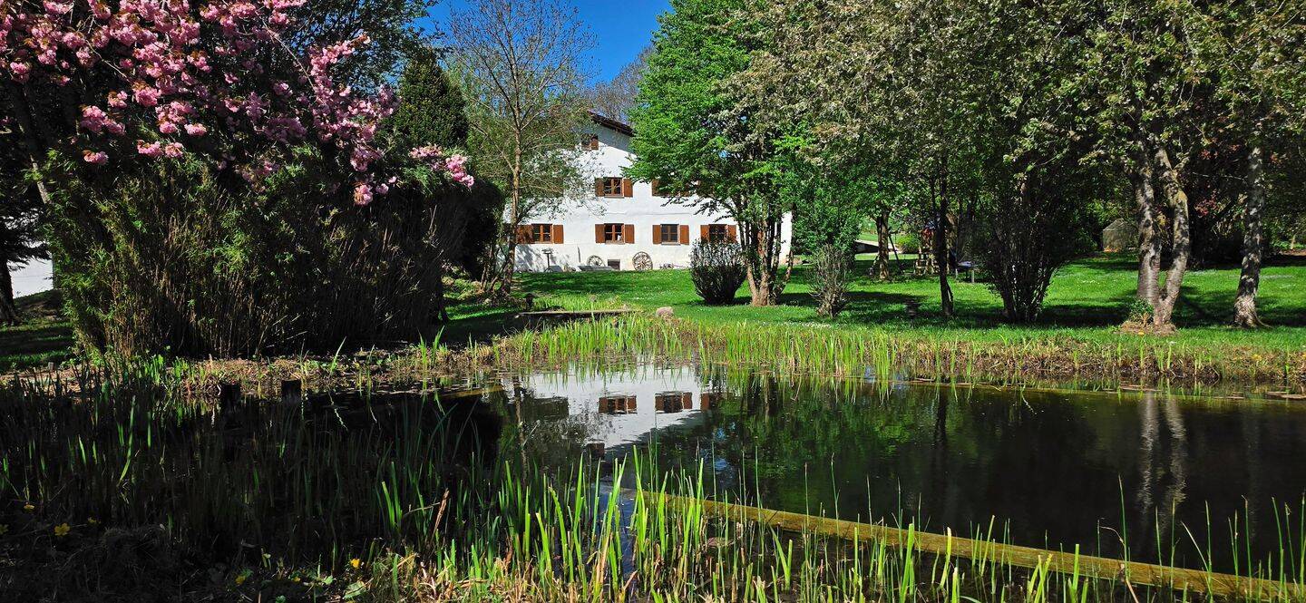 Ein Traum im Allgäu/Exclusives ehemaliges Bauernhaus in Fastalleinlage mit Bergsicht bei Kempten im schönen Oberallgäu, 87463 Dietmannsried