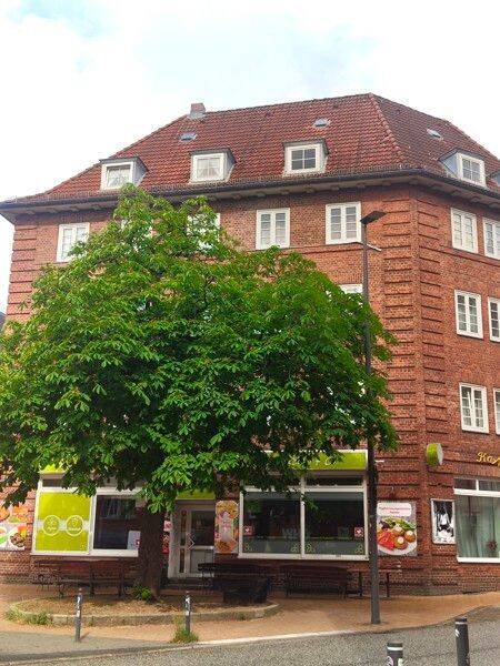 Nette Nachbarn gesucht: individuelle Wohnung in Stadtnähe, 24103 Kiel (Altstadt Damperhof Exerzierplatz Vorstadt)