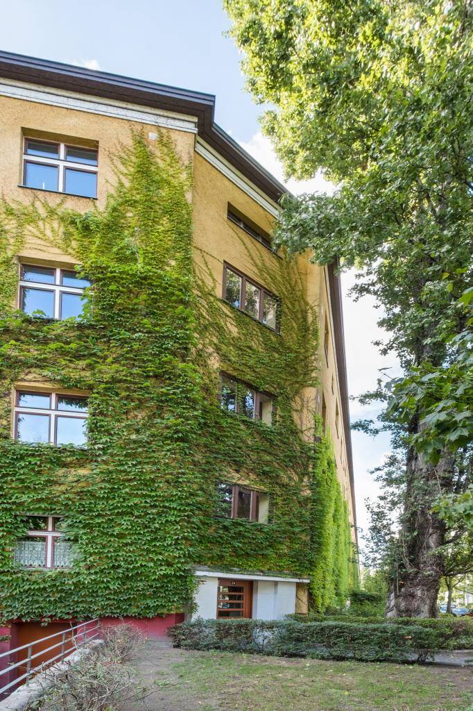 Seltene Gelegenheit: Top-gepflegter 30er-Jahre Altbau im skandinavischen Viertel!, 10439 Berlin (Pankow Prenzlauer Berg)