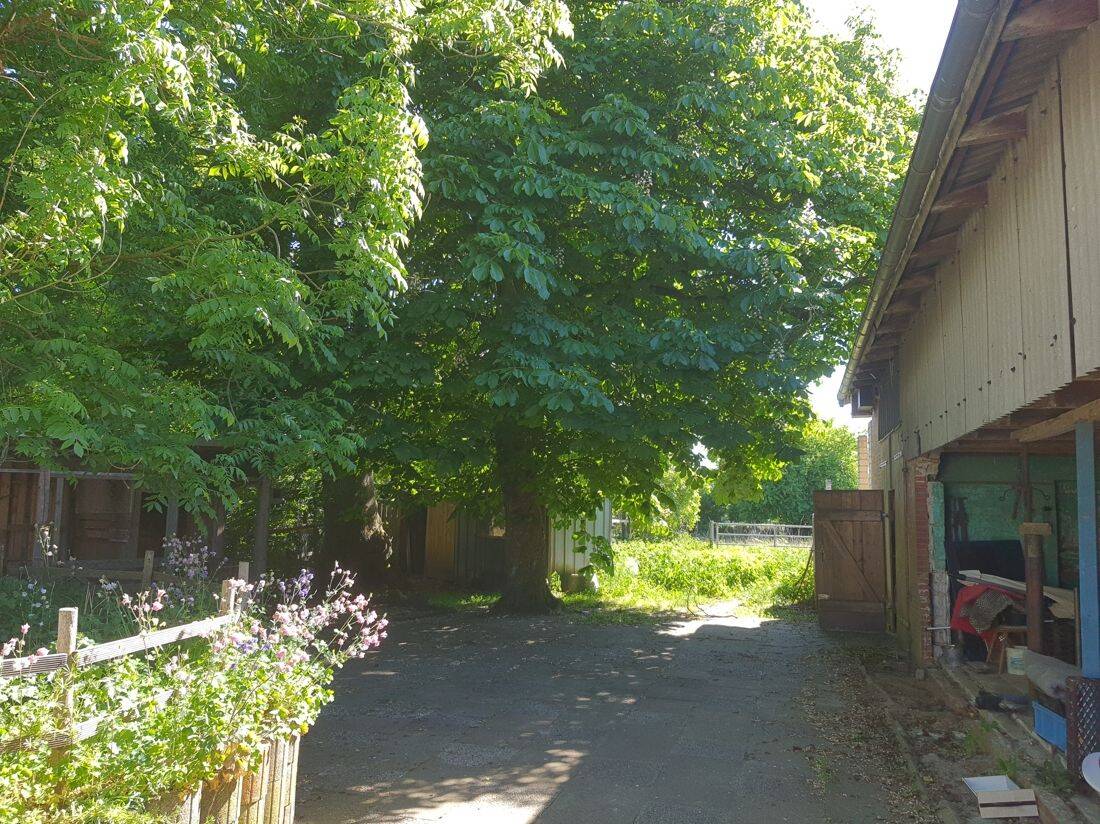 Ihre Pferde werden es lieben, 25721 Eggstedt