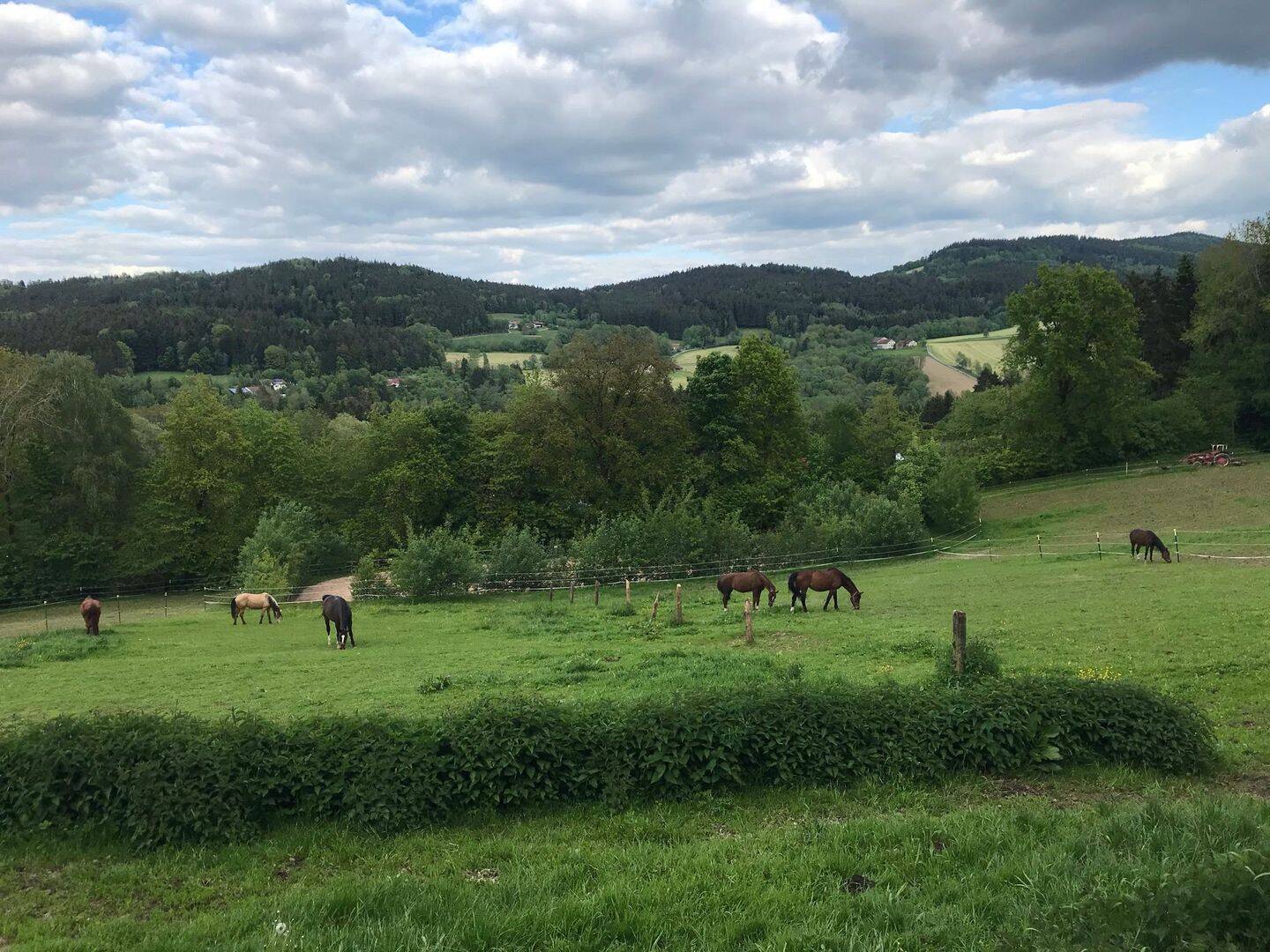 Pferdeparadies im Vorderen Bayerischen Wald, 94357 Konzell