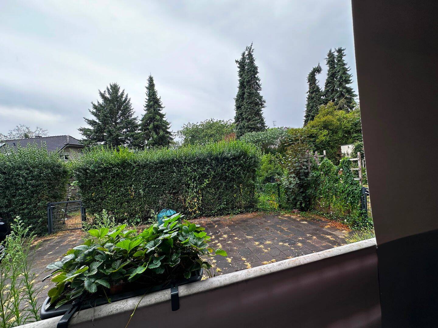 Nachmieter für ca. 90 m² große 4-Zimmer-Hochpaterrewohnung mit Balkon in Oberhausen-Borbeck gesucht, 46117 Oberhausen