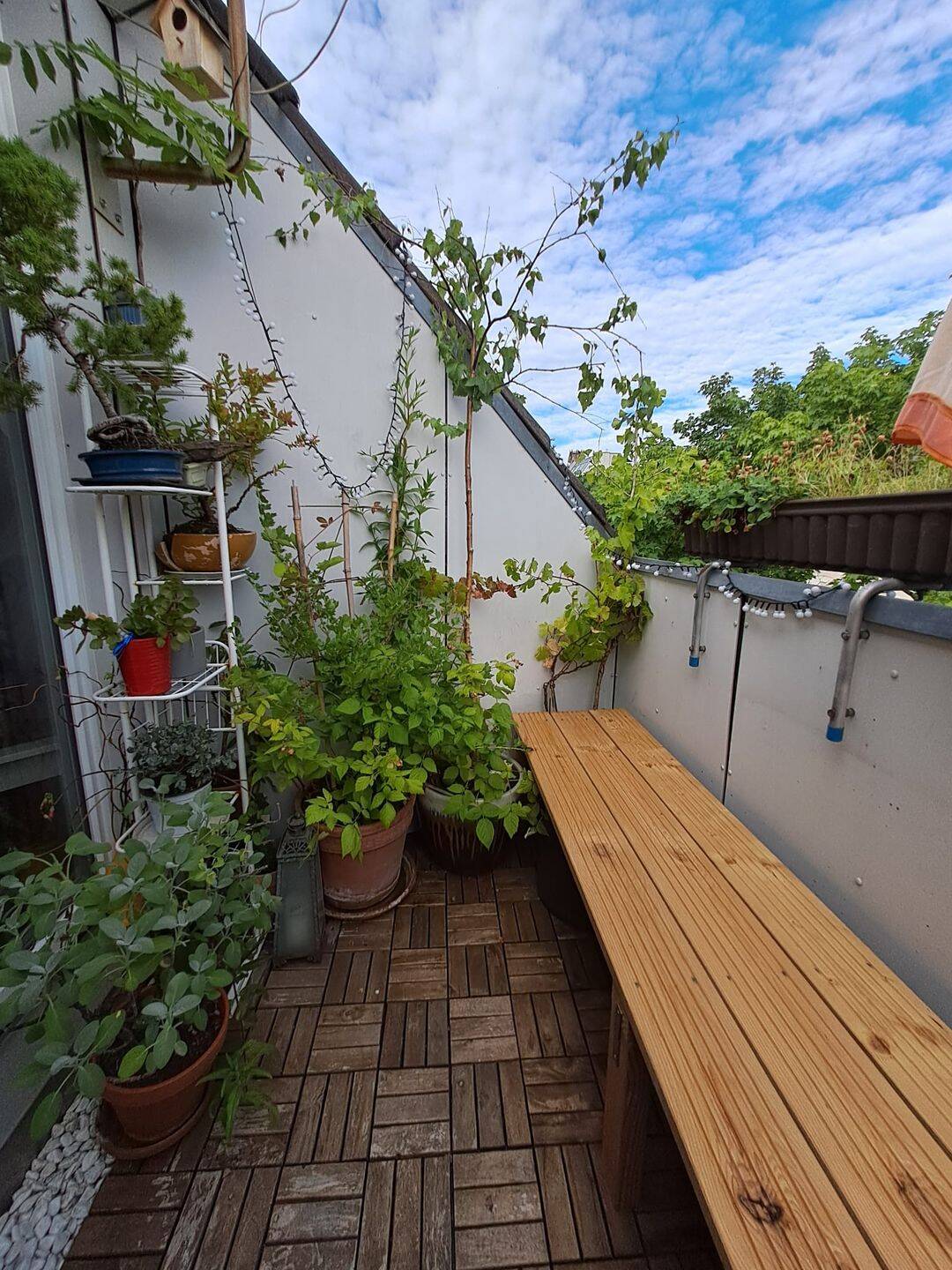 Mietwohnung, 2 Zimmer, 37 m², in Köln, 50670 Köln (Innenstadt-Nord Altstadt-Nord Neustadt-Nord)