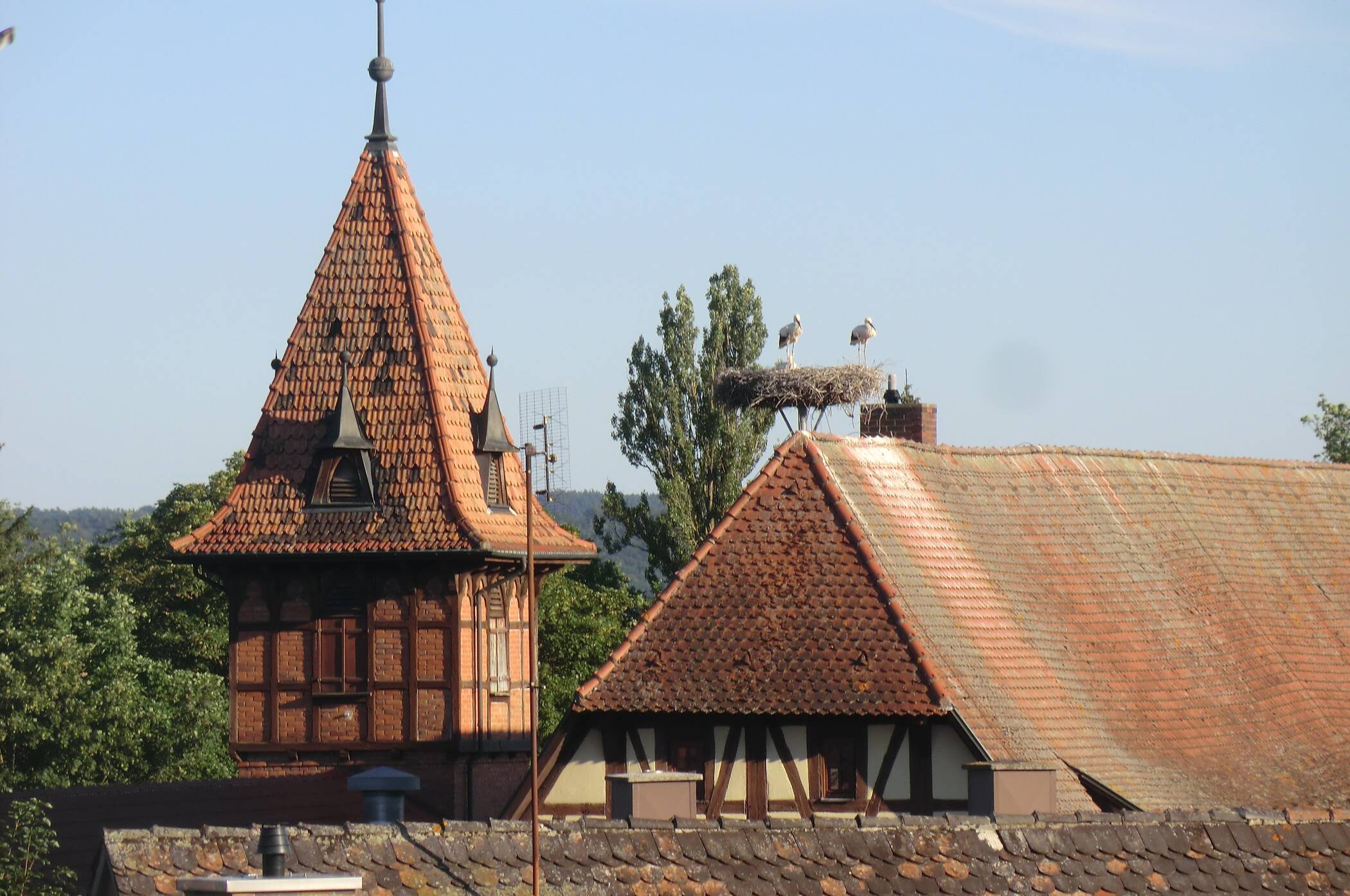 Großzügige 3-Zimmer-Wohnung mit Balkon im 2. OG der Sudhauswohnanlage mit Blick auf das Bad Windsheimer Storchennest, 91438 Bad Windsheim