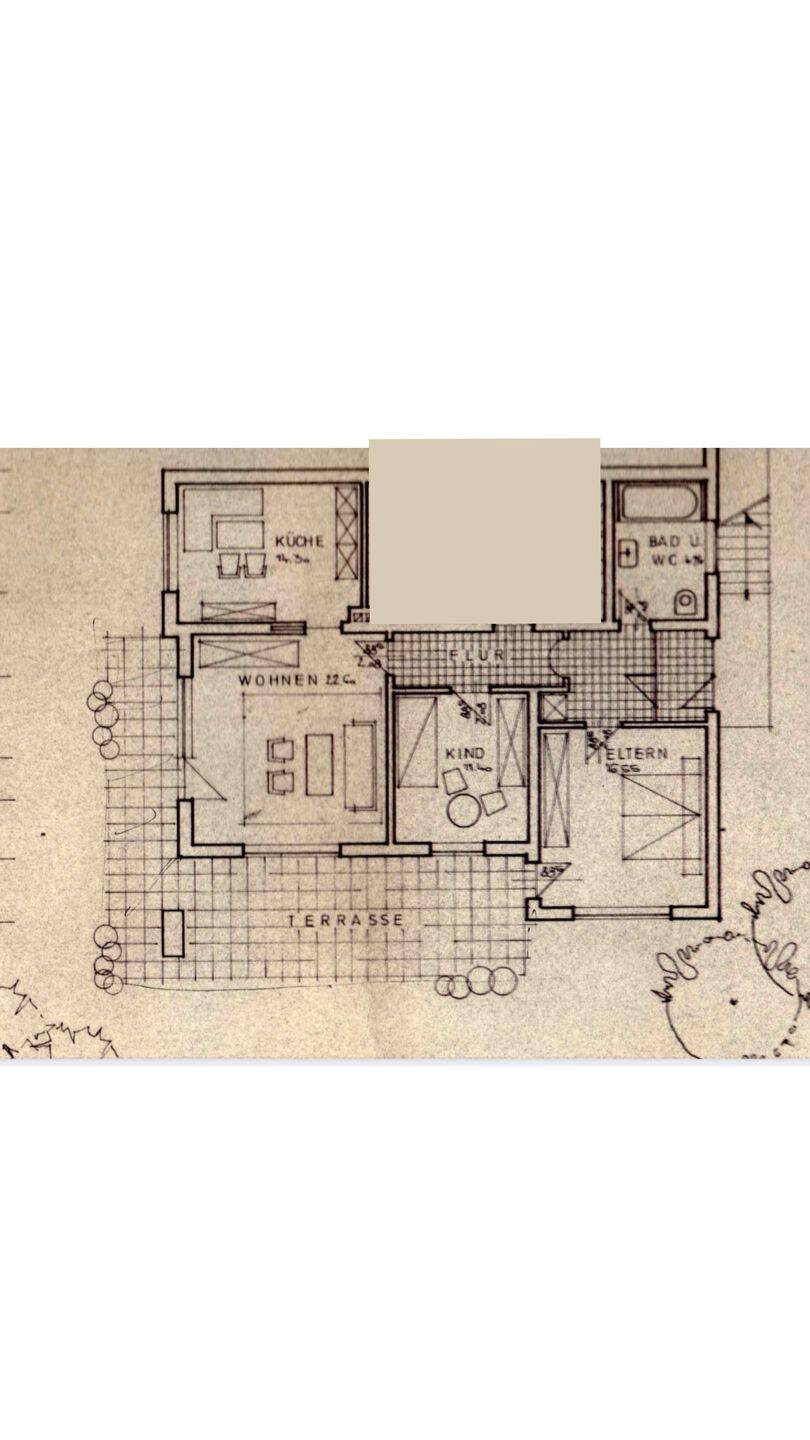 image-72550735
