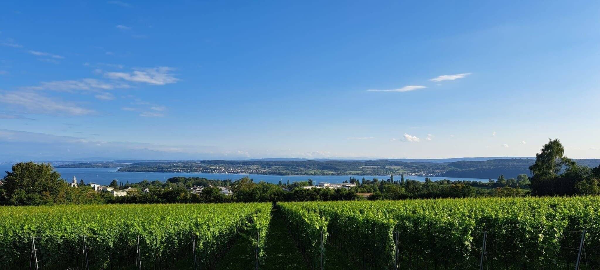 neuer Kaufpreis – schöne Eigentumswohnung in Überlingen mit Seeblick Bodensee, 88662 Überlingen