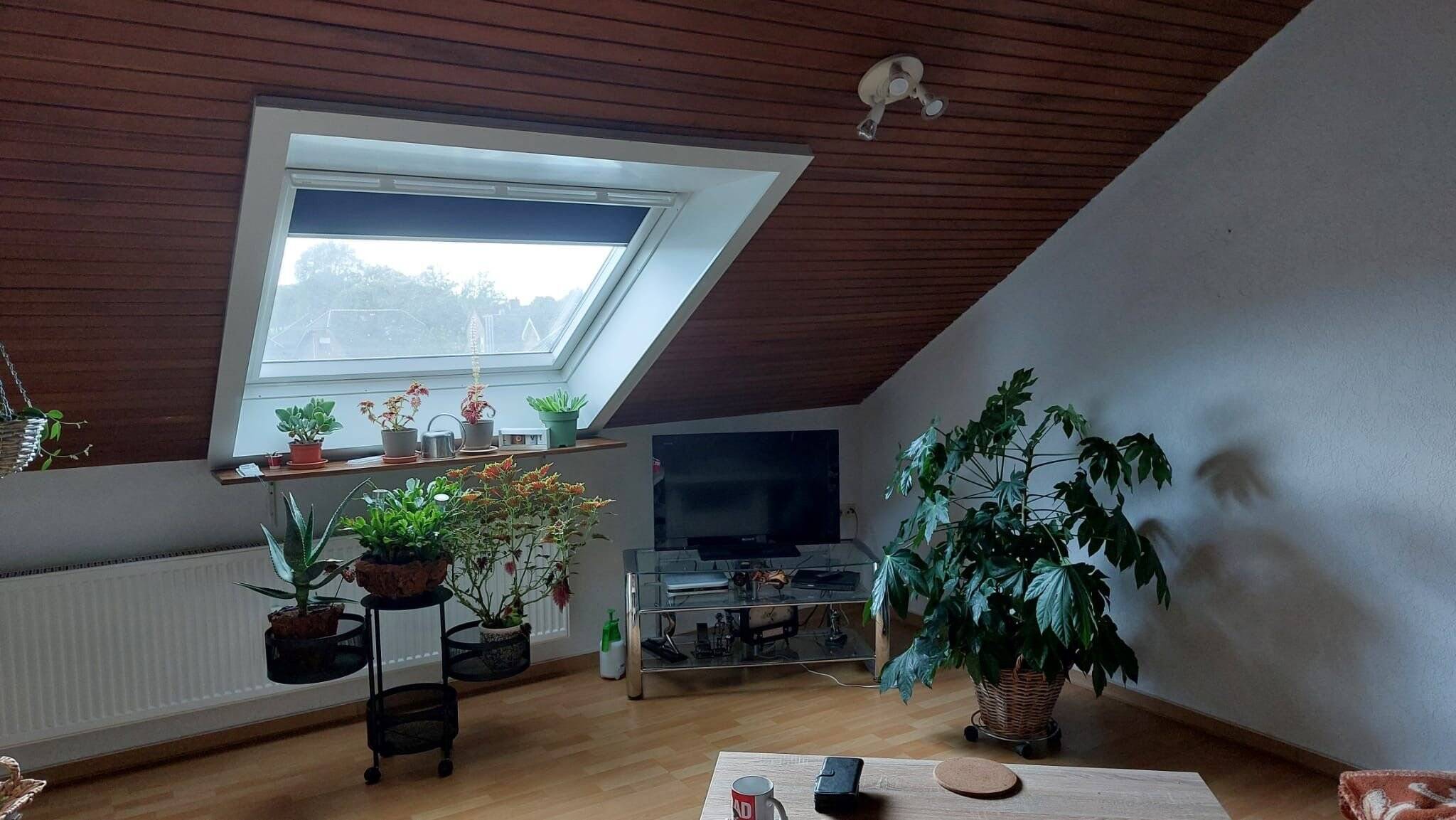Sonnige NICHTRAUCHER-Dachgeschoßwohnung in ruhiger Lage, 2 Zi, KDB, 47574 Goch