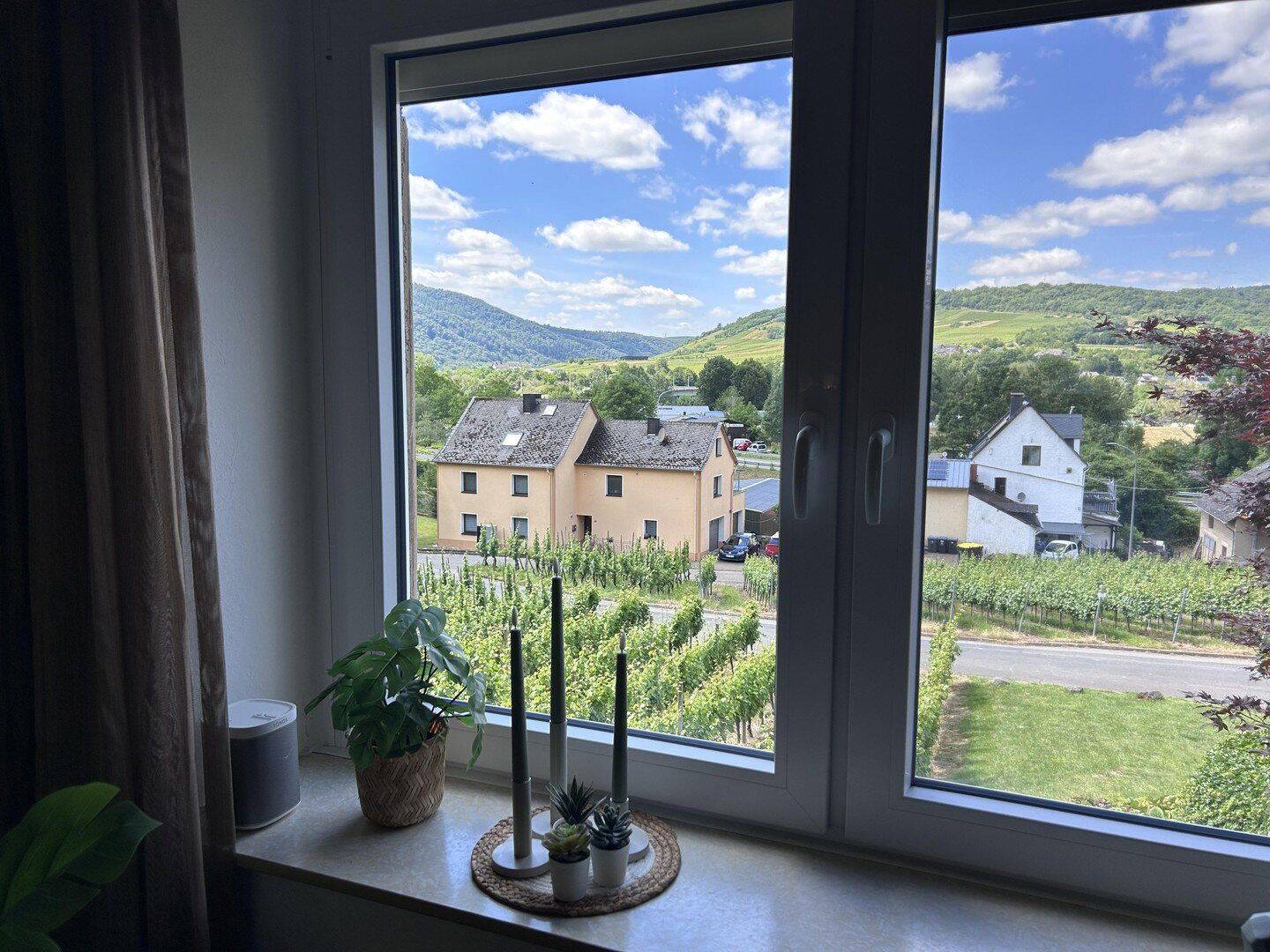 Haus an der Mosel in Senheim, 56820 Senheim