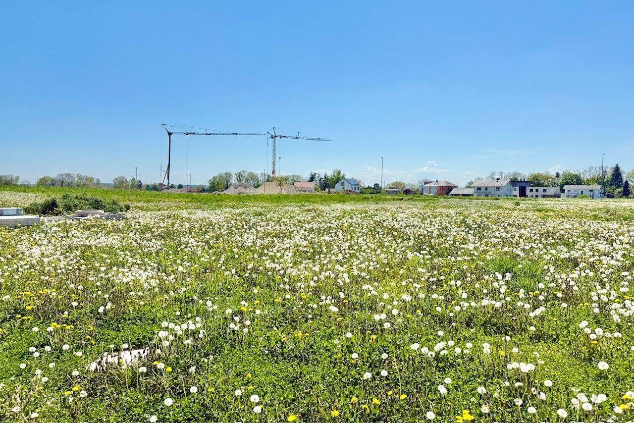 Bauen Sie doch wann Sie wollen!, 84453 Mühldorf a. Inn