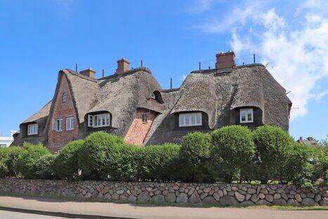 image-72575065