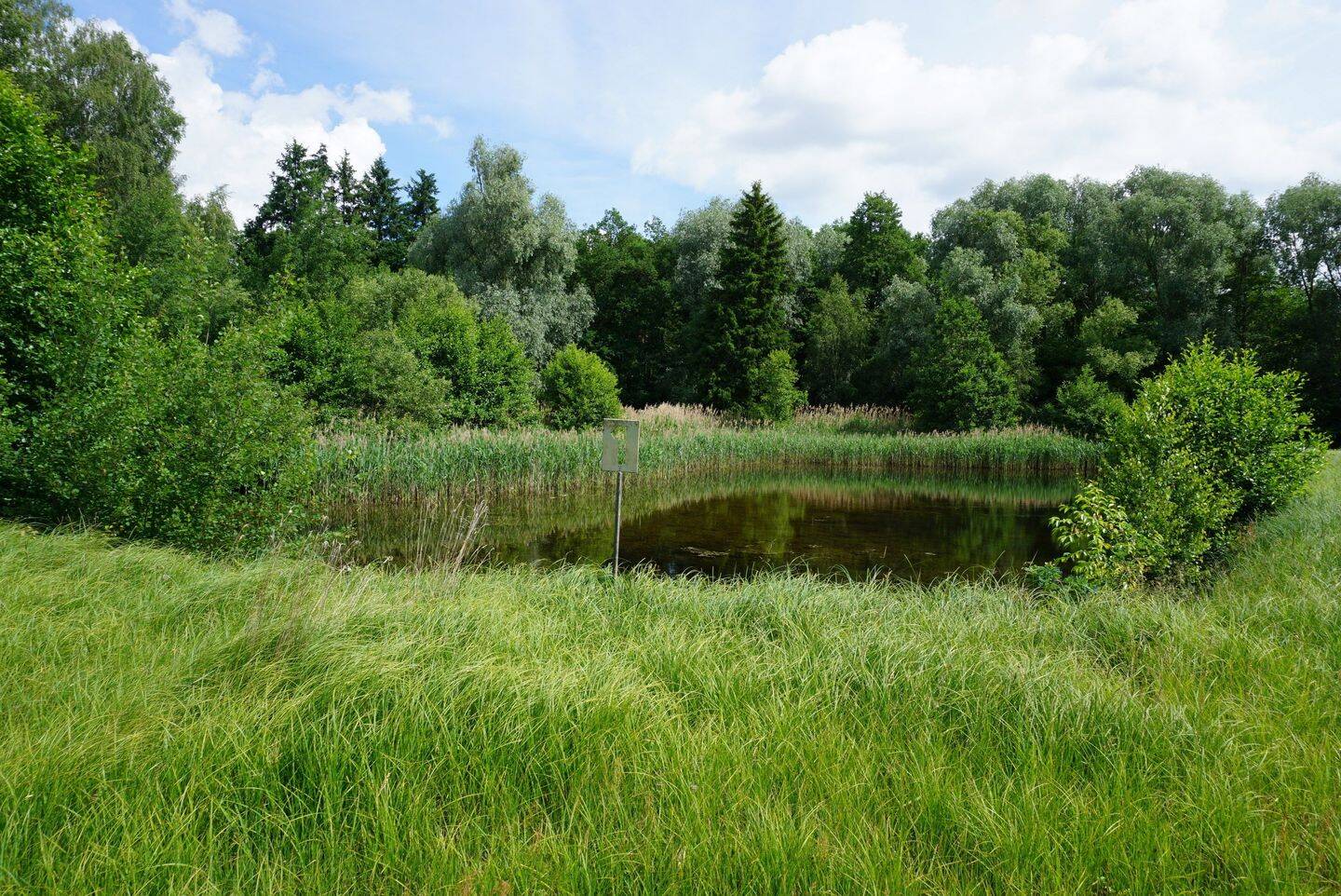 2 Teichgrundstücke 36.524 m² mit Grünland-, Wald- und Gehölzflächen in 29559 Wrestedt / OT Bollensen , kein Bauland !, 29559 Wrestedt