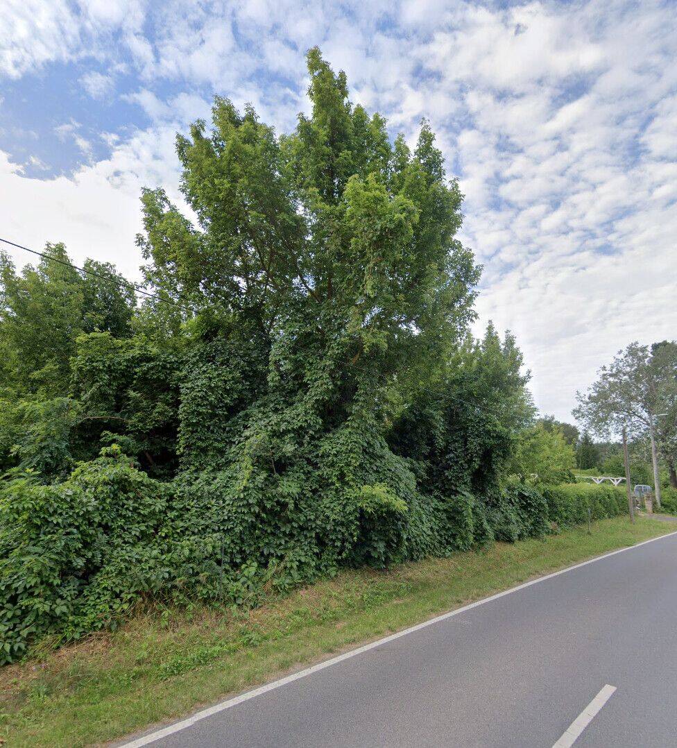 PROVISIONSFREI | Wohnbaugrundstück in ruhiger Wohnsiedlung in Strausberg, 15344 Strausberg