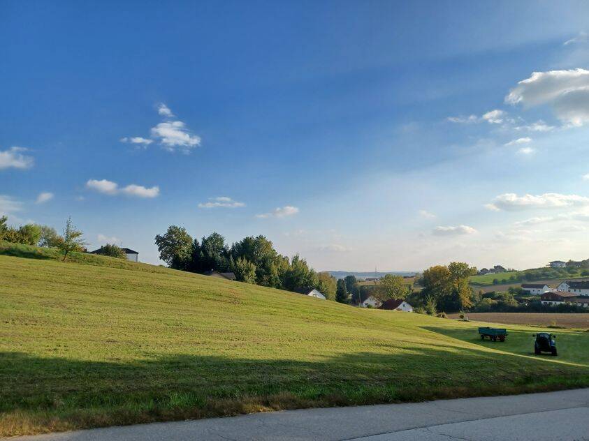 image-72529288