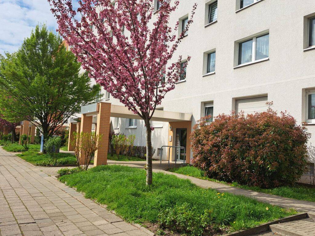 3-Raum-Wohnung mit Aufzug und Balkon, 6122 Halle (Saale) (Nietleben Nördliche Neustadt Saaleaue)
