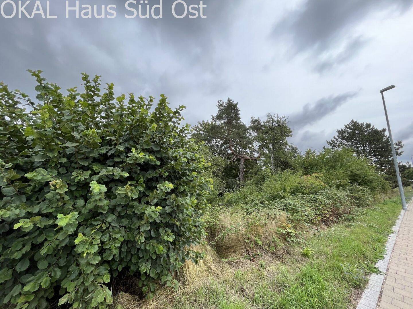 EIN HAUS, DAS MIT GROSSEM PLATZANGEBOT ÜBERZEUGT, 91738 Pfofeld